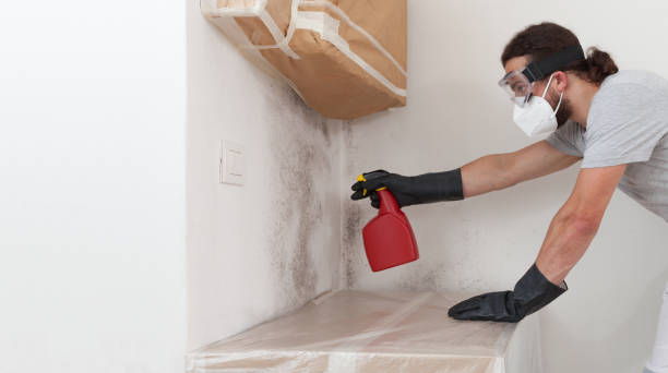 Professional Crawl Space Mold Remediation technician working in Topping, VA